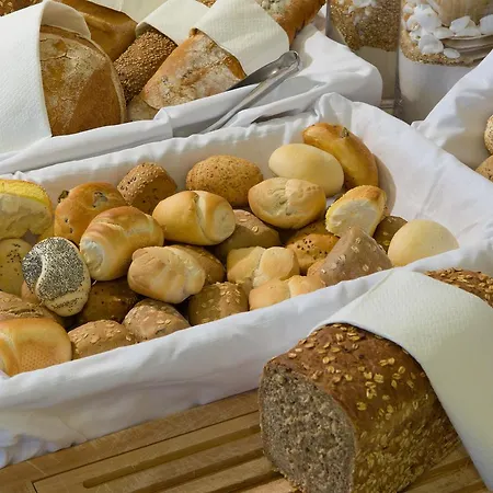 호텔 Adriatic Palace 4*